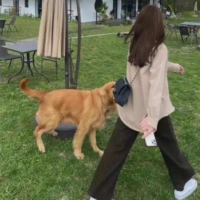 公主复仇者2:战士再起
