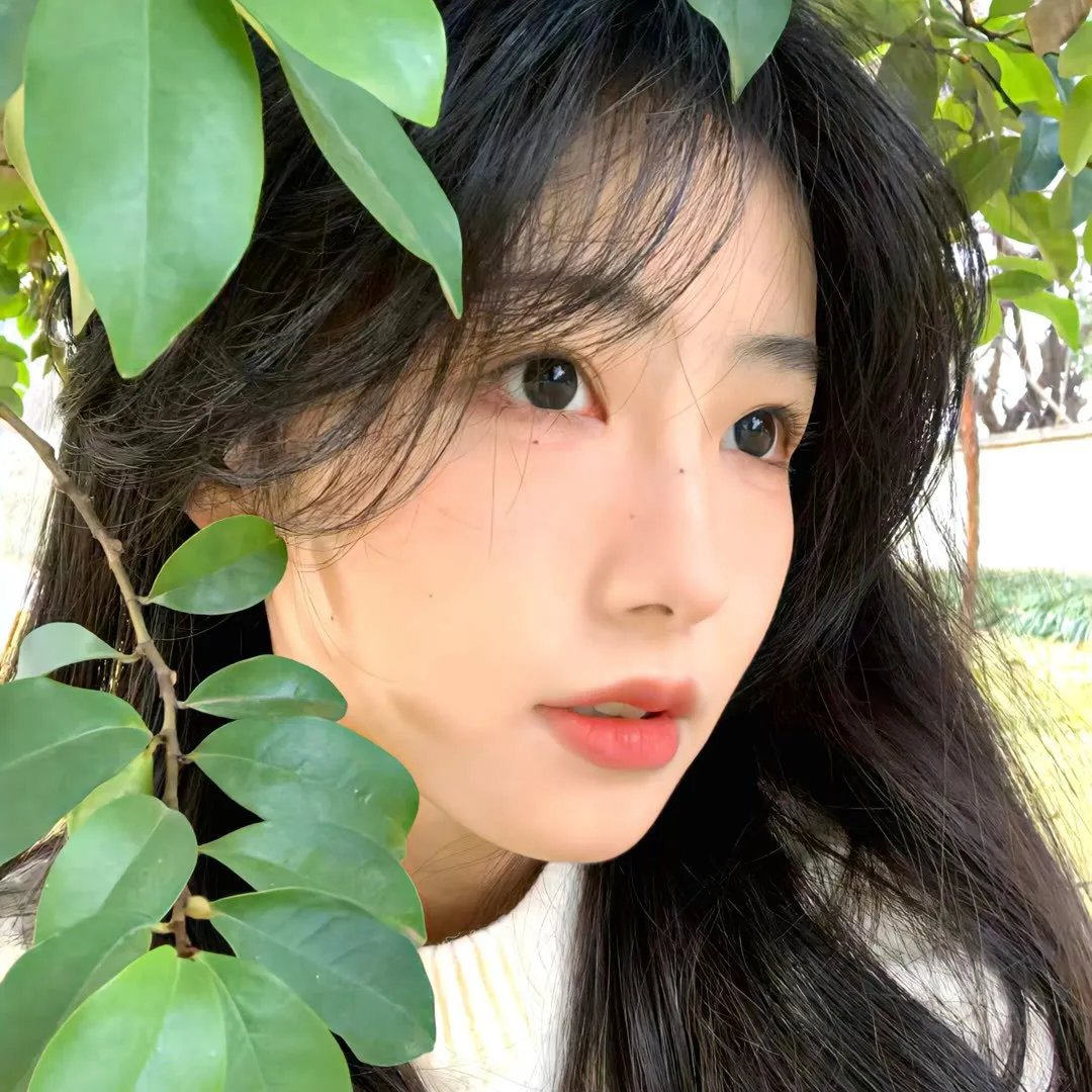 牧场随想曲